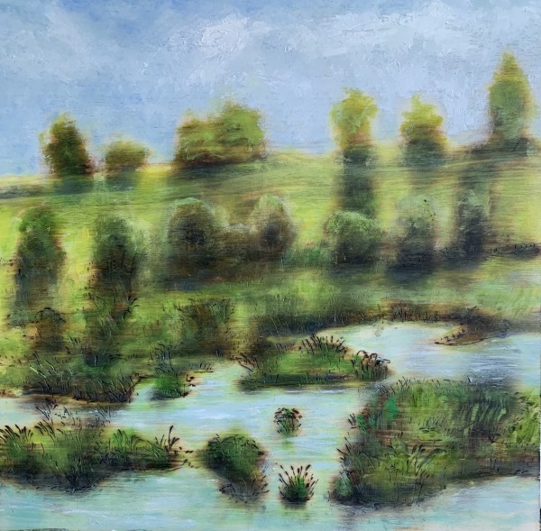 Marsh by David Diethelm