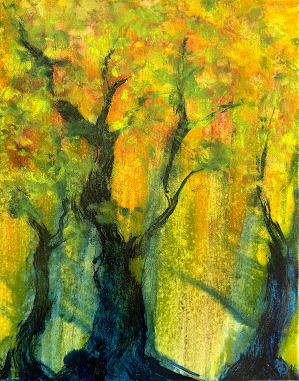 Golden Hour in the Old Forest by David Diethelm, Image 1.