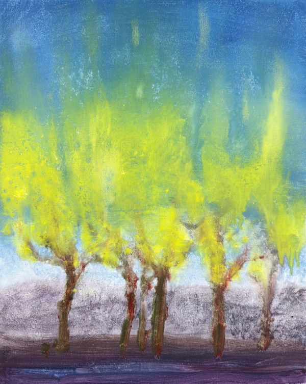 Trees Ablaze by David Diethelm