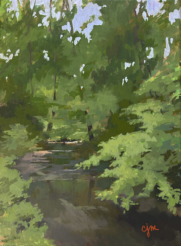 MBSP Creek by Claudia Morgan
