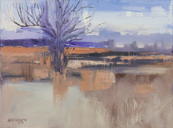 Riverlands II 2015 by Michael Anderson