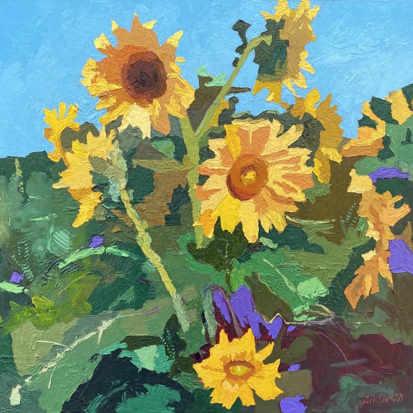 Sunflowers by Michael Anderson