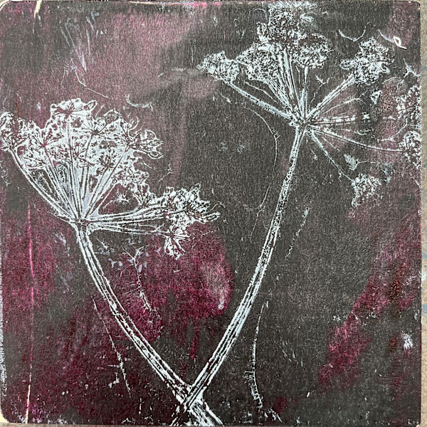 Fennel Seeds by Vandy Massey