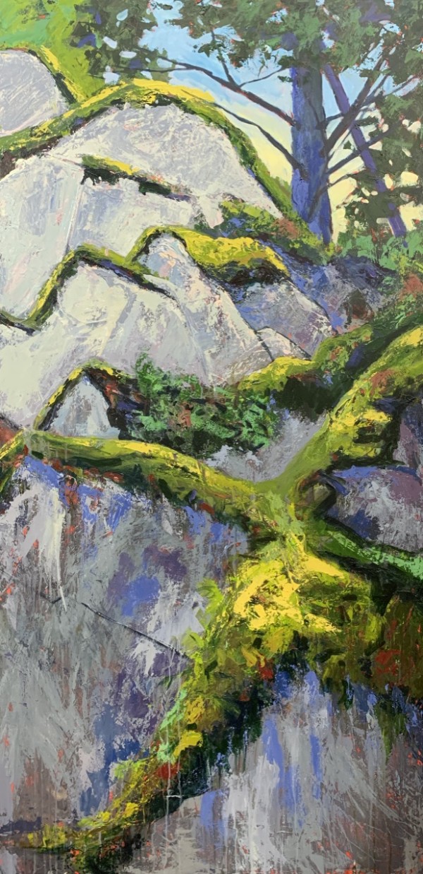 The Shape of Rock by Holly Friesen