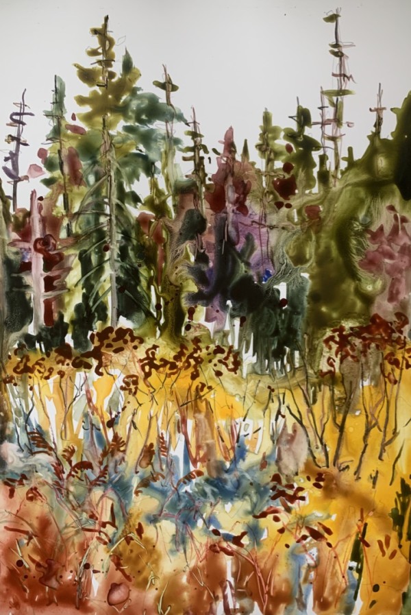 This Land Holds a Mystery by Holly Friesen