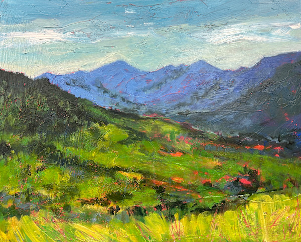 High Peaks Skyline by Holly Friesen