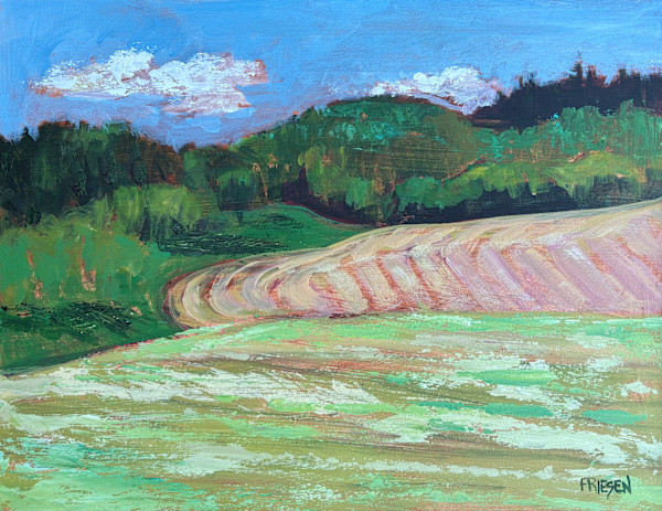 Afternoon Clouds by Holly Friesen
