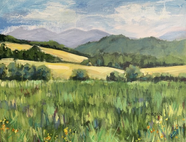 Summer Fields by Holly Friesen