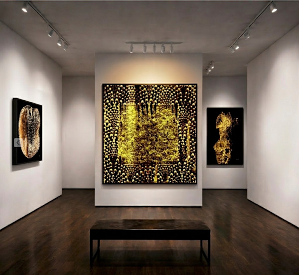 FERVEUR D'OR by Don S., Image 3.