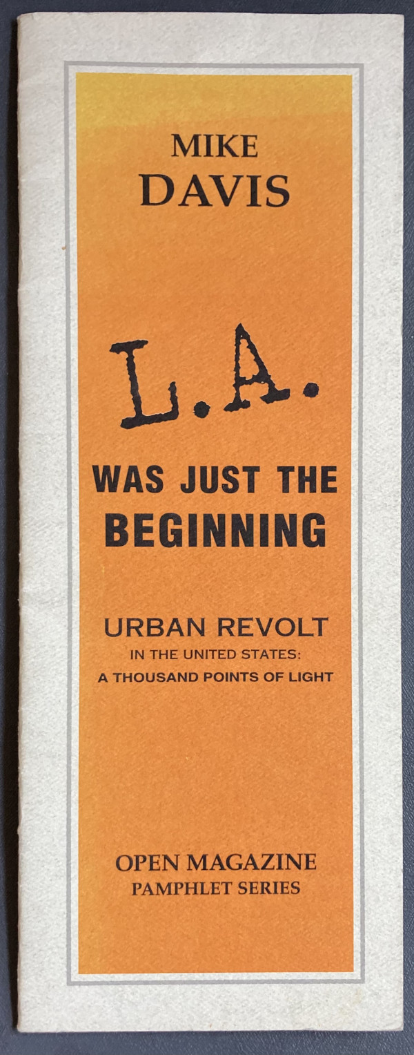 LA Was Just the Beginning by Mike Davis
