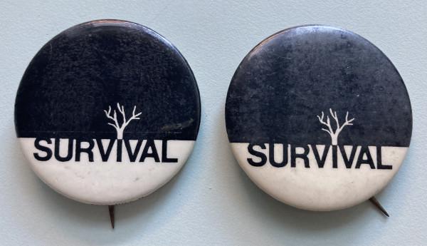 2 Survival buttons by political campaign