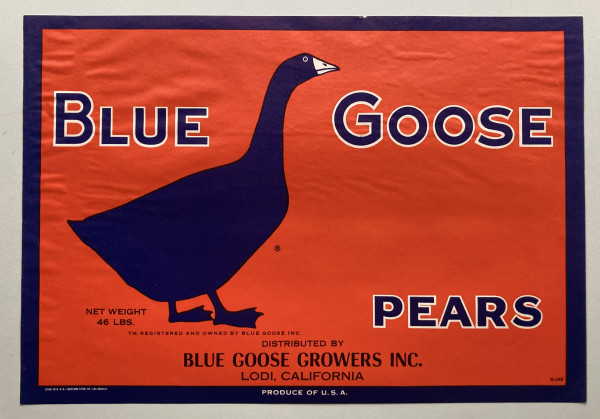 Blue Goose Pears label