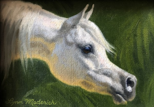 White Horse | Head Study by Lynn Maderich
