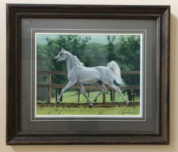 White Horse by Lynn Maderich