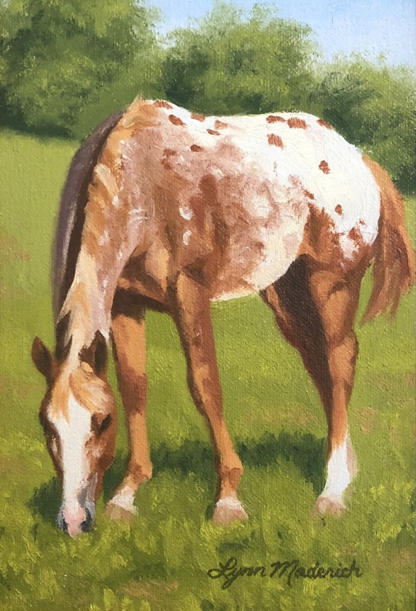 Horse Study by Lynn Maderich
