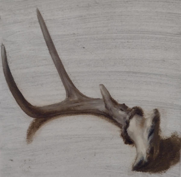Antler by Andy Sjodin