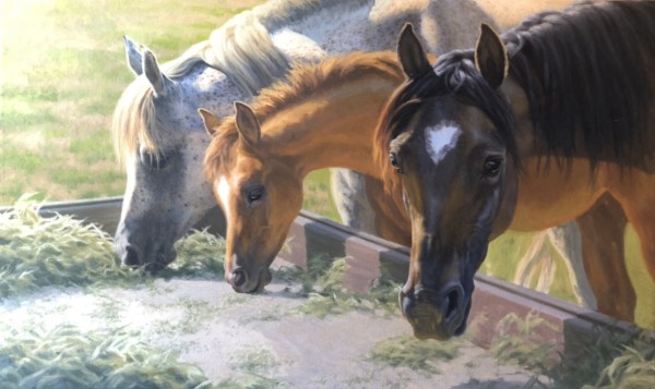 Untitled | Three Horses Eating by Lynn Maderich