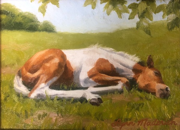 Brown and White Colt | Study by Lynn Maderich