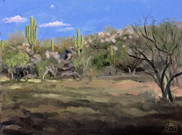 Catalina State Park, Tucson AZ by Jean-Pierre Jacquet