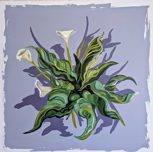 Calla-Fornia