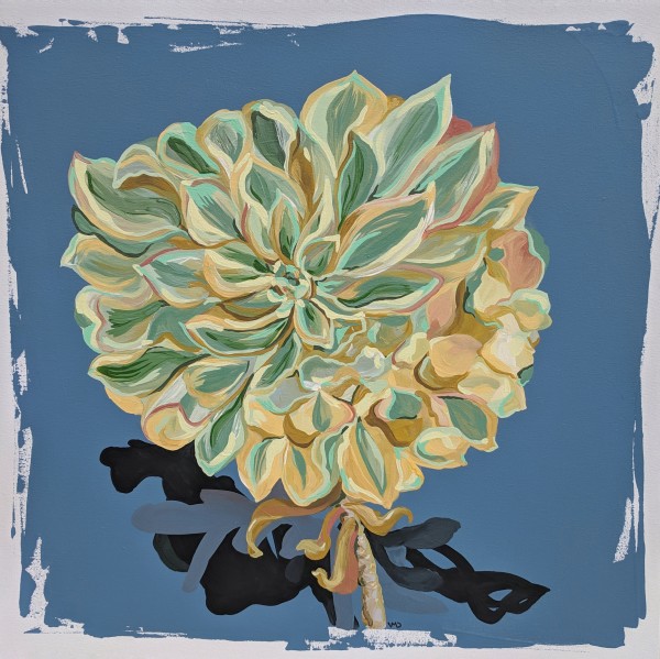 Crested Sun