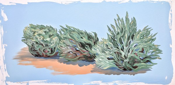 Sage Home