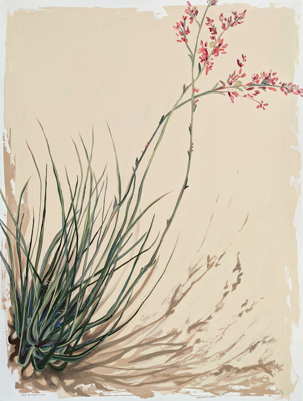 True or False Yucca by Veronica Diament