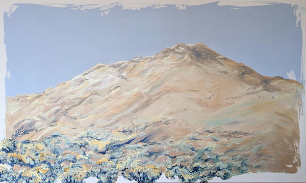 Rabbit Brush Foothills by Veronica Diament