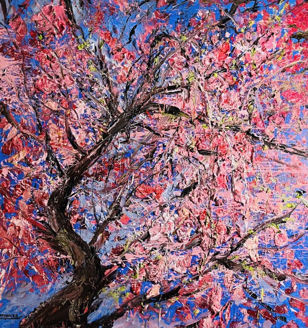 Cherry Blossom by Eric Alfaro