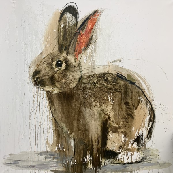 Cottontail rabbit by Eric Alfaro