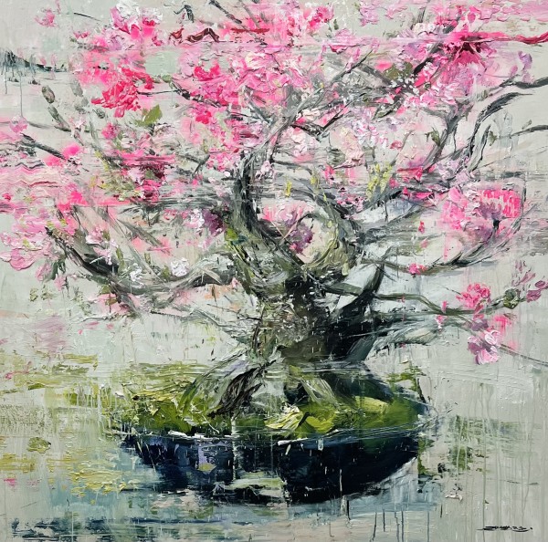 Okame cherry bonsai by Eric Alfaro