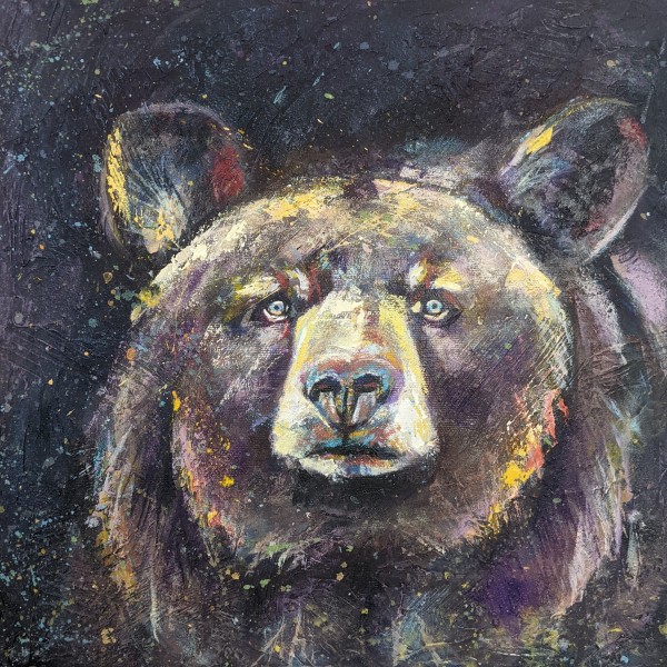 Ursus Americanus (Black Bear) by Bethany Aiken
