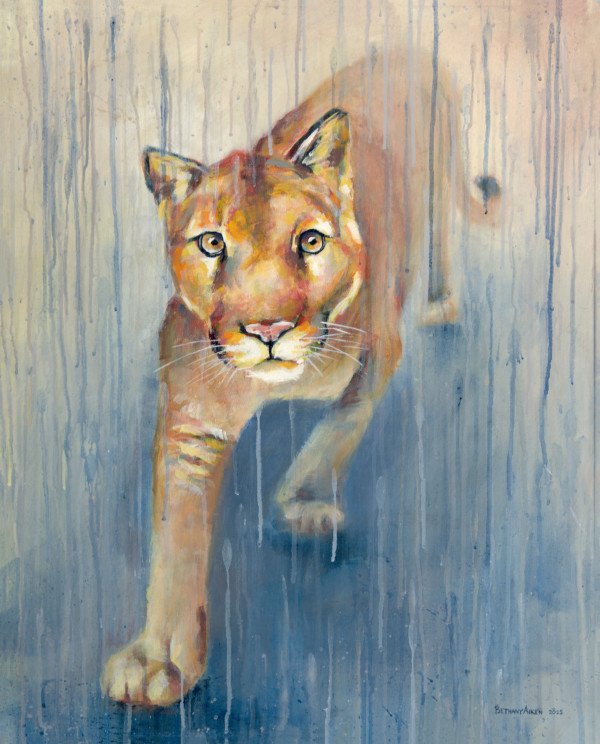 Bailey - Cougar by Bethany Aiken