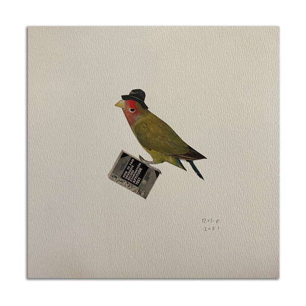 Bird Studying by Rosie Winstead