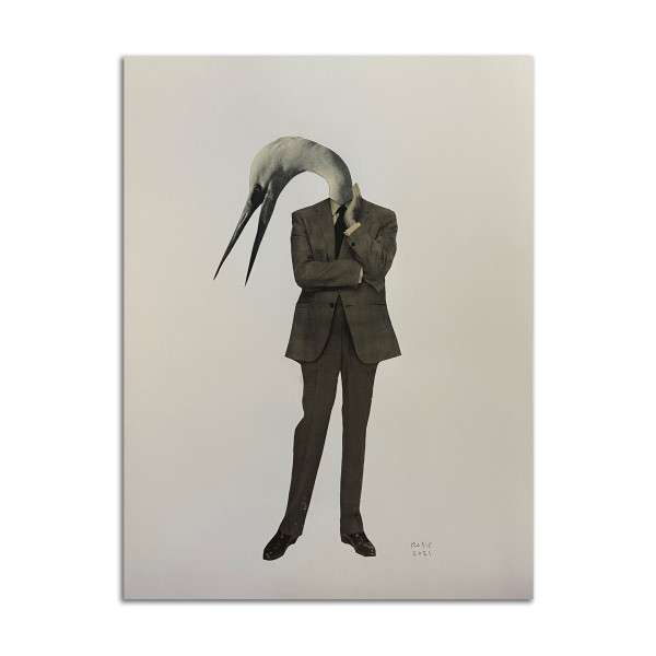 Bird in Business Suit by Rosie Winstead