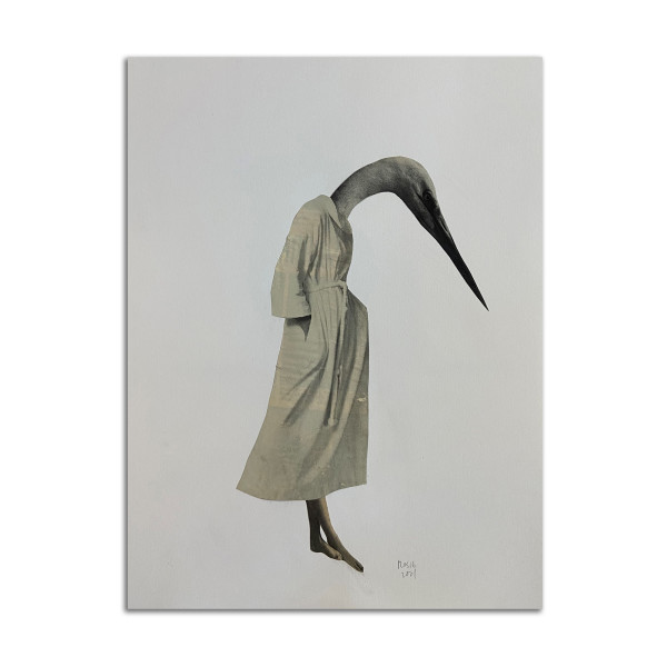 Bird in Robe by Rosie Winstead