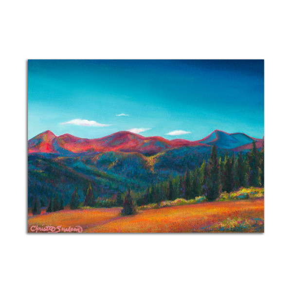 Boreas Pass by Christie Snelson