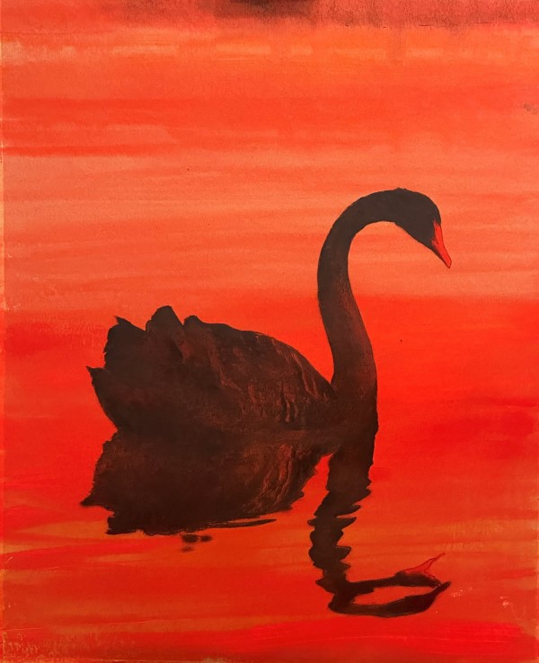 Black Swan by Brad Noble