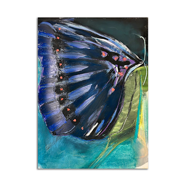 Butterfly on Painted Wing by Jane Parker