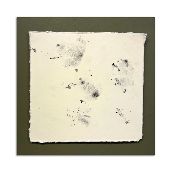 September 5th, 2024.  Lost Hill Park; Dry  Sac River. 10:13 pm.  American Bullfrog. by Camryn Gulledge