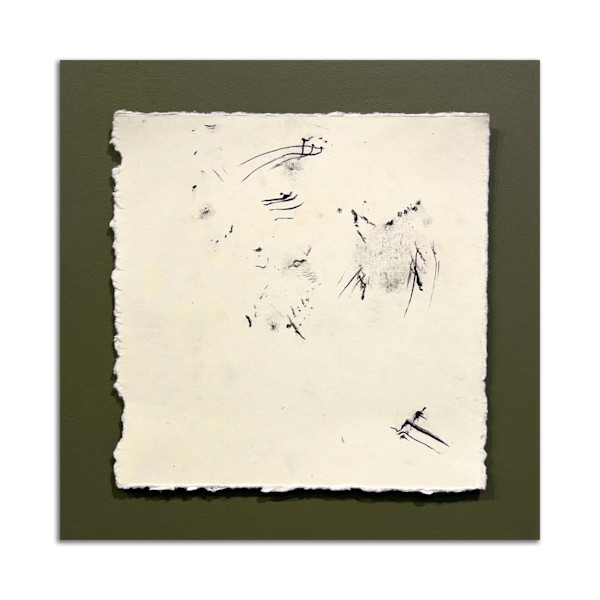 September 5th, 2024.  Lost Hill Park; Dry  Sac River. 9:58 pm.  American Toad. by Camryn Gulledge