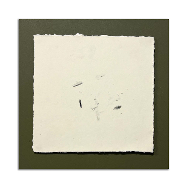 October 17th, 2024.  Lost Hill Park; South  Dry Sac River. 11:17 pm.  Southern Redbelly by Camryn Gulledge