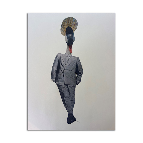 Cocky Peacock by Rosie Winstead