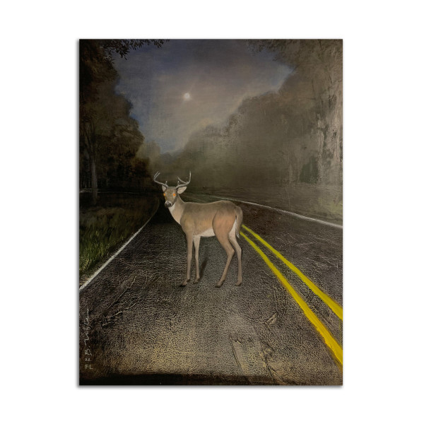 Deer in the Headlights by Brad Noble x François Larivière