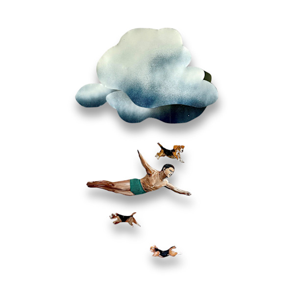 Soaring with he Beagles by Ken Richardson