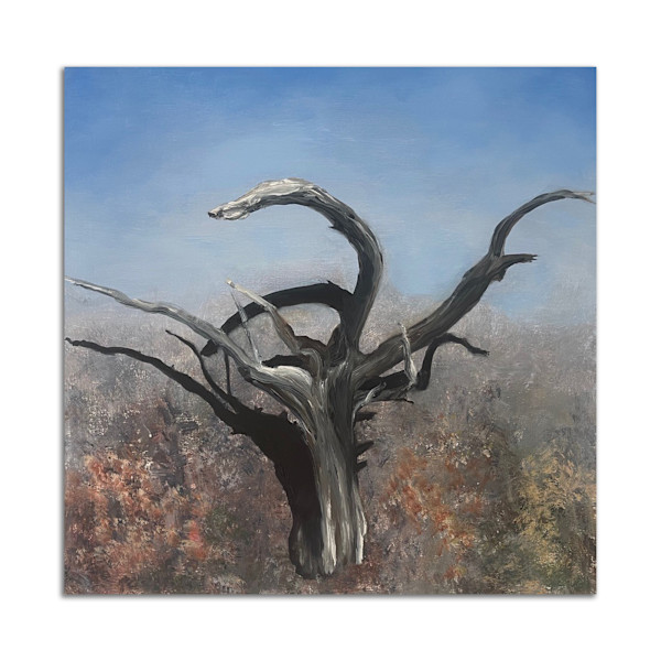 Forest Ghost #1 by Lil Olive