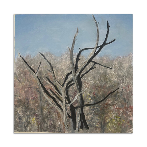 Forest Ghost #2 by Lil Olive