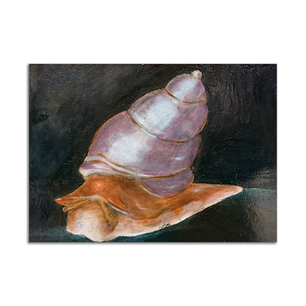 Garden Snail by Anna Sistrunk, Image 6.