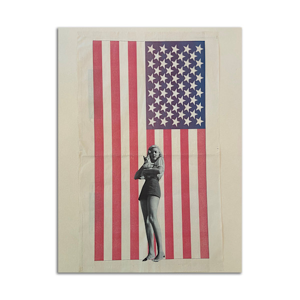 Girl, Cat and Flag by Rosie Winstead