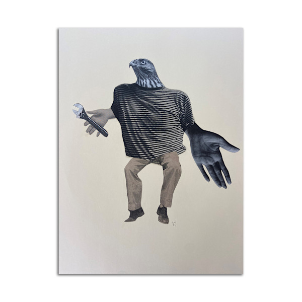Handyman Hawk by Rosie Winstead